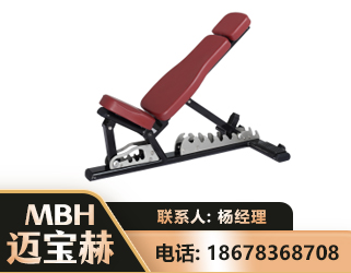 珠海可调哑铃椅